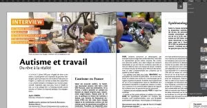 action et competence, baobab, newsletter, handicap, colmar, travail, autisme