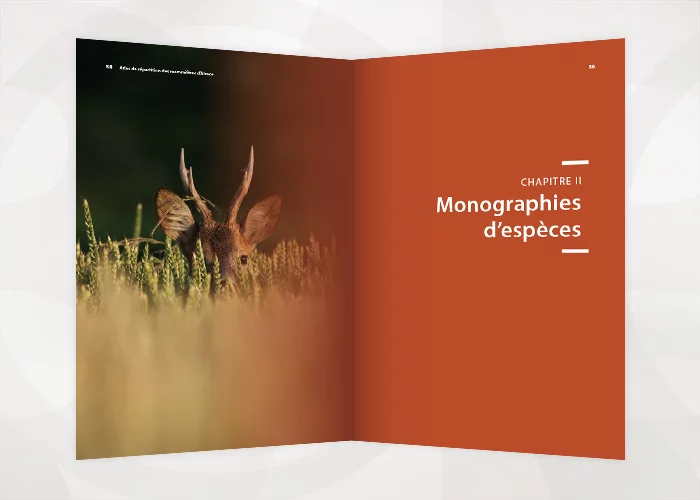 Atlas Mammifères Alsace 4