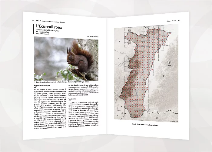 Atlas Mammifères Alsace 5