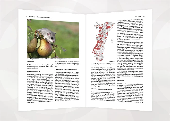 Atlas Mammifères Alsace 6