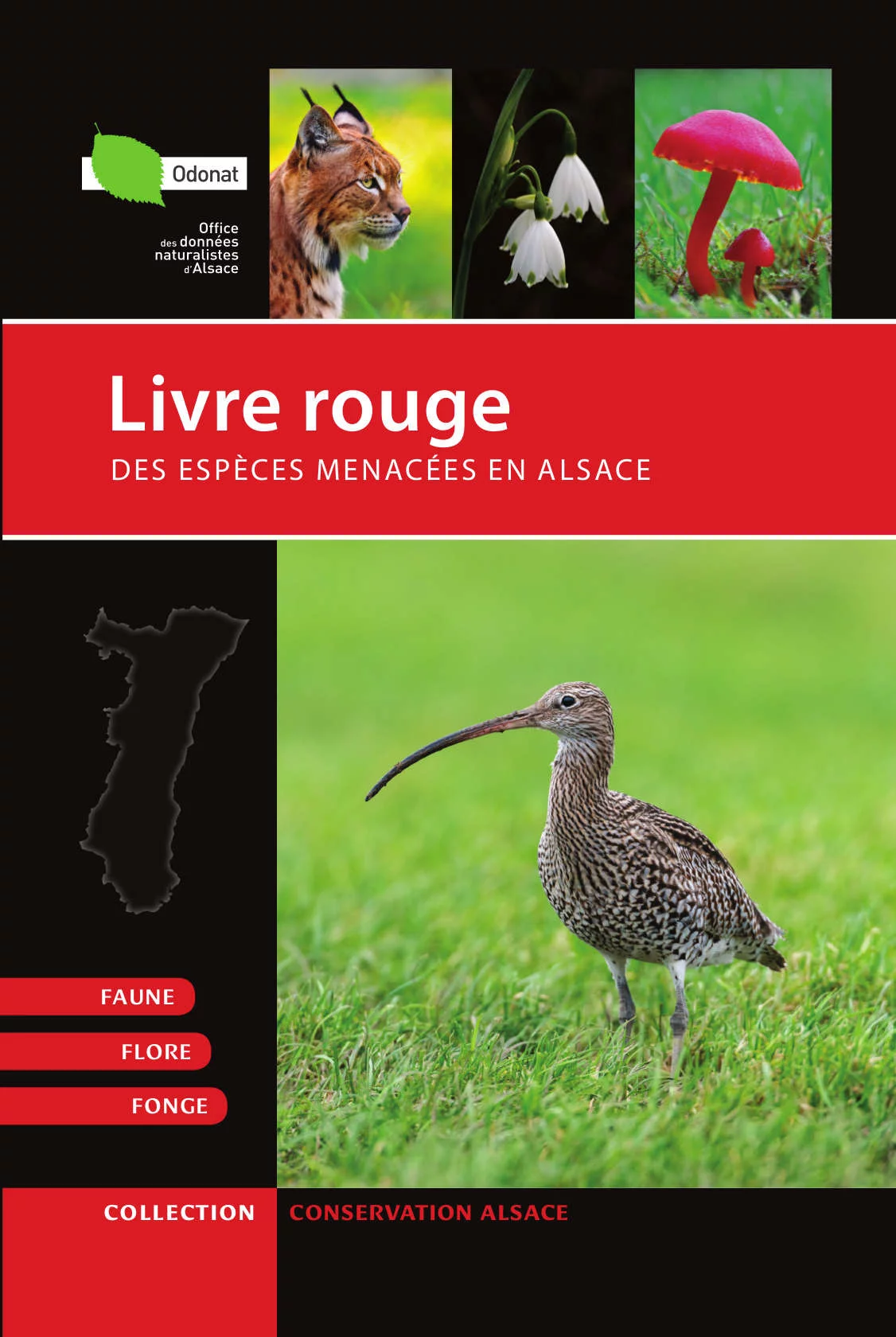 Livre Rouge Couverture